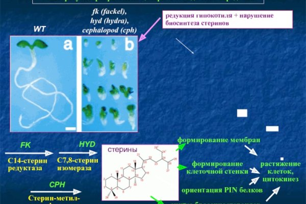 Ссылка на блэкспрут без тор соединения