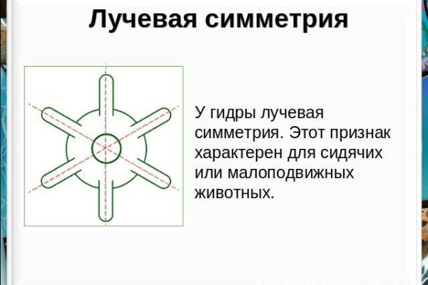 Почему не работает кракен